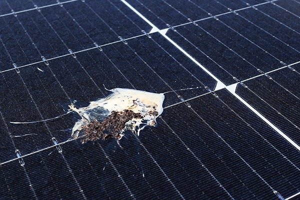 zonnepanelen schoonmaken